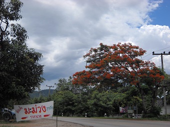 20130609skyB.jpg