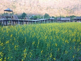20180425onsenG.jpg