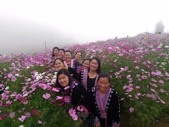 20180930cosmos.jpg