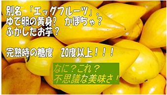 20181119furuitA.png