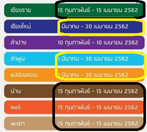 20190125moeruC.png
