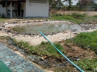 20190429onsenN.jpg