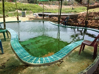 20190429poolB.jpg