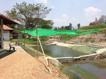 20190429poolC.jpg
