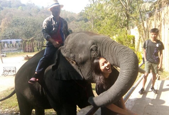 20190525elephantB.png