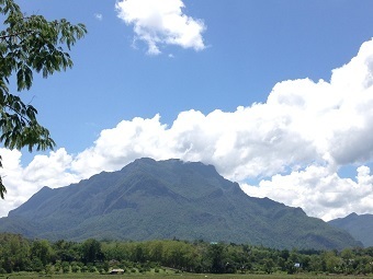20190612yama.jpg