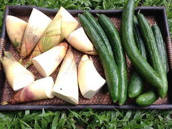 20180807foodB.jpg