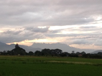 20180814chendao.jpg