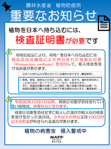 20181219kenekiA.png