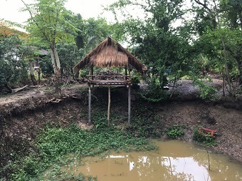 20190802koyaD.jpg