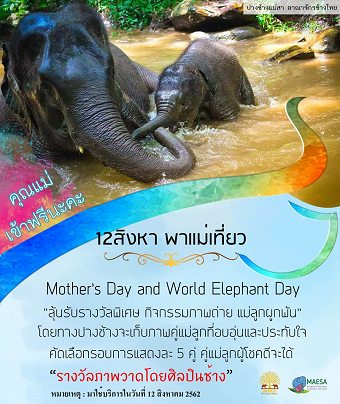 20190813elephantA.png