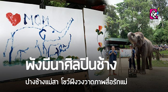 20190813elephantC.png