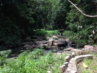 20190819onsenI.jpg