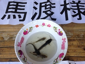 20190914chendaoA.jpg