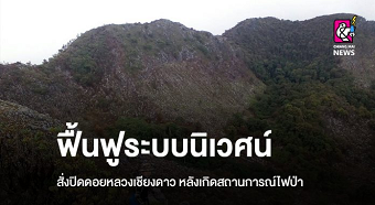 20190917chendao.png