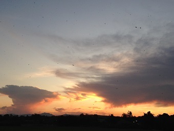 20191028skyAA.jpg