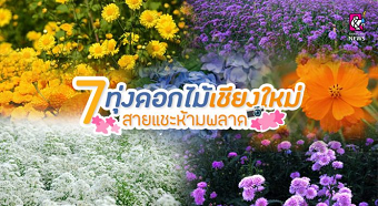 20191129newsBB.png