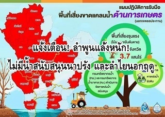 20191226yasaiA.jpg