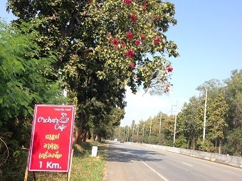 20200104skyA.jpg