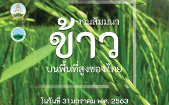 20200202rice.png