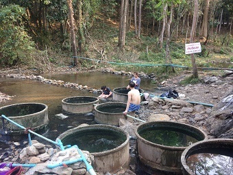 20200302onsen.jpg