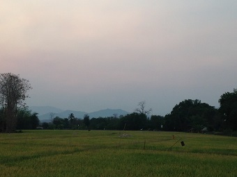 20200401skyS.jpg