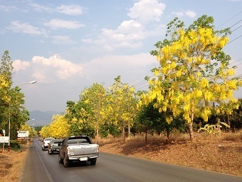 20200424runA.jpg