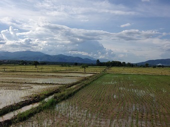 20200717runA.jpg