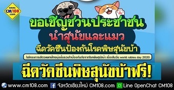 20200923dogA.jpg