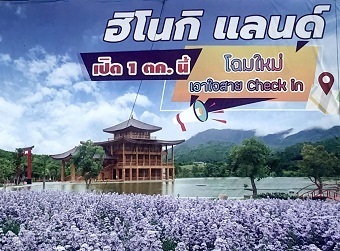 20200930hinokiA.jpg