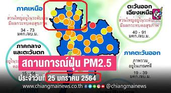 20210125pm2.5.png