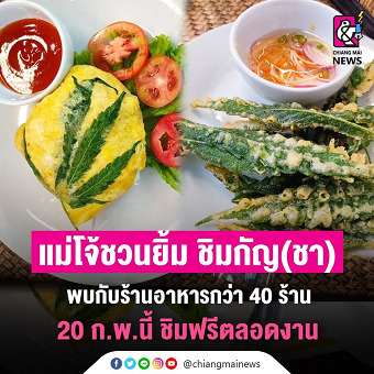 20210218taimaA.png